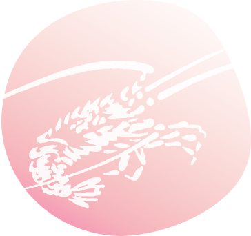 日影茶屋歳時記